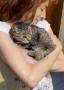 Cleo (3)2
